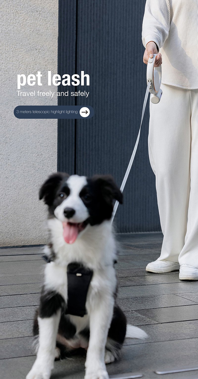 بند نگهدارنده (لیش) هوشمند سگ ۳ متری PET