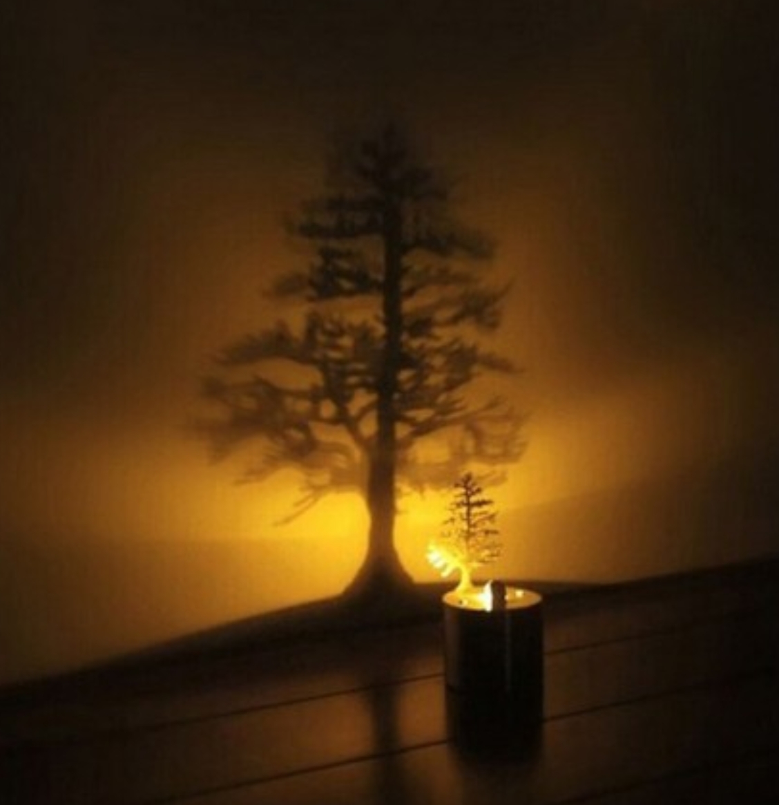 چراغ خواب متفاوت سایه ساز درخت