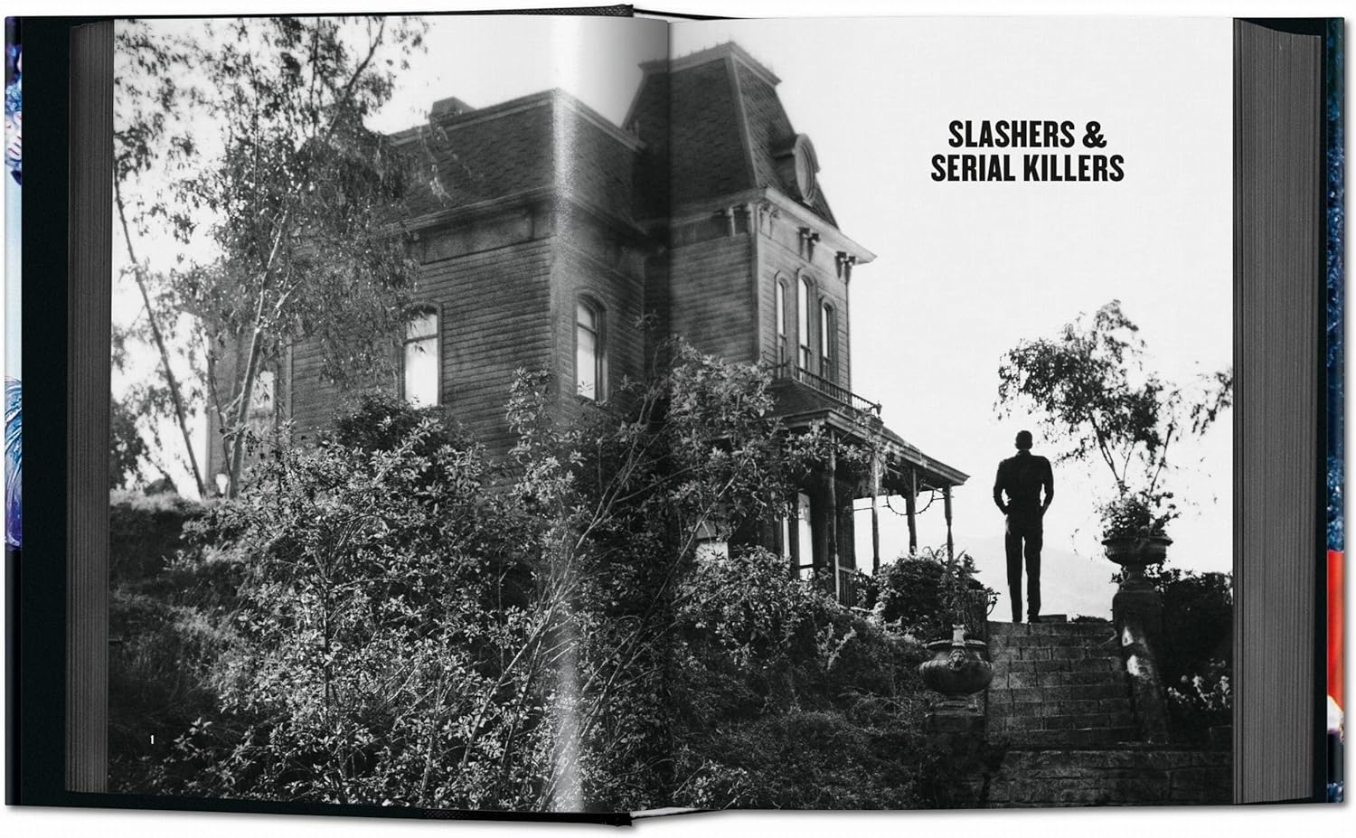 کتاب کمیاب سینمای وحشت و فیلم های ترسناک