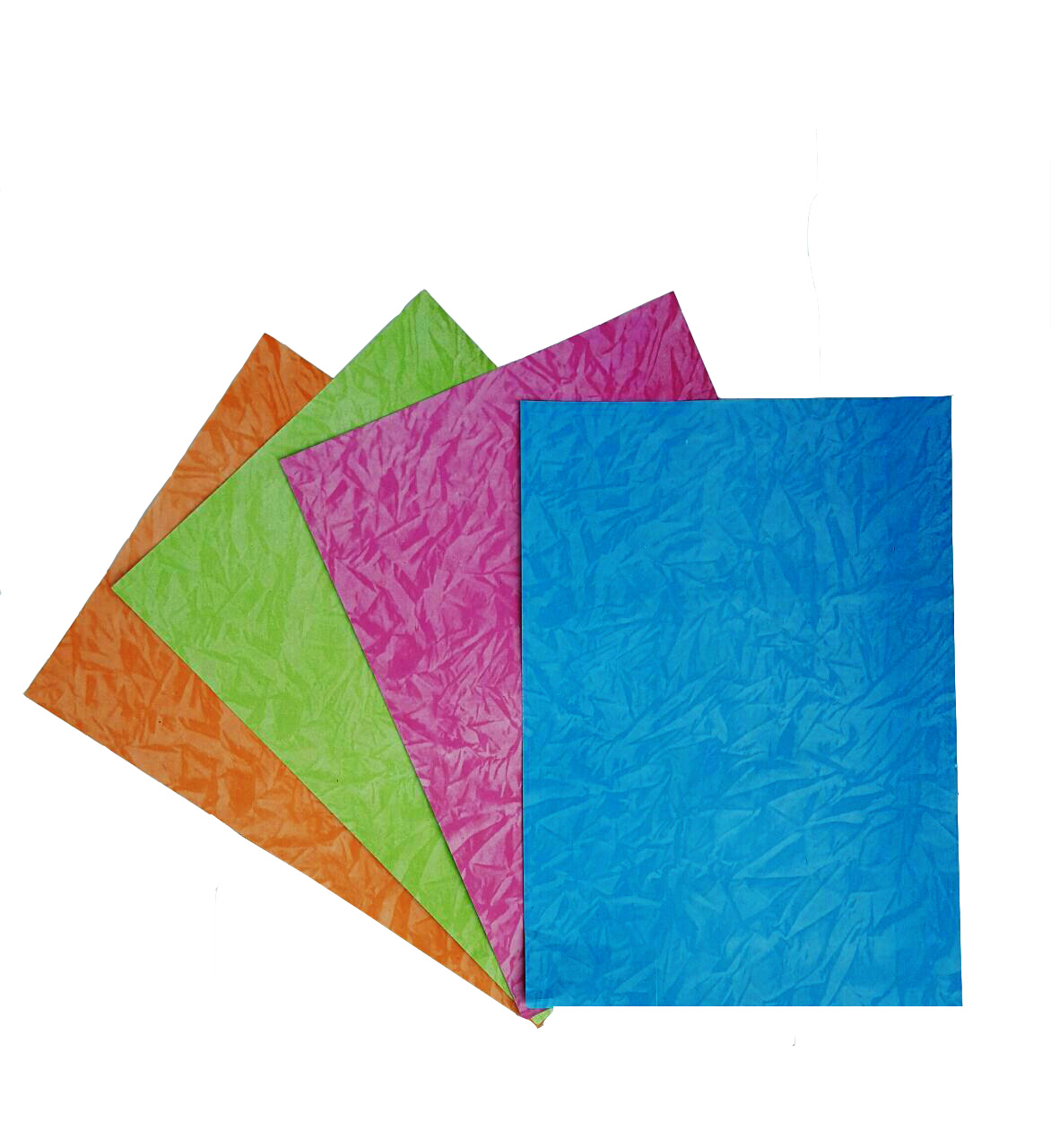 پوشه روغنی ۲۳۰ گرم