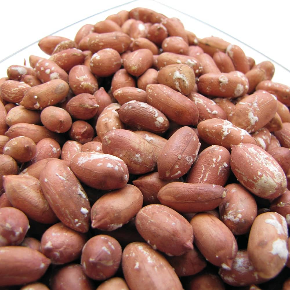 مغز بادام زمینی آستانه