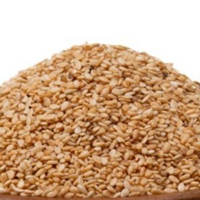 کنجد بدون پوست برشته