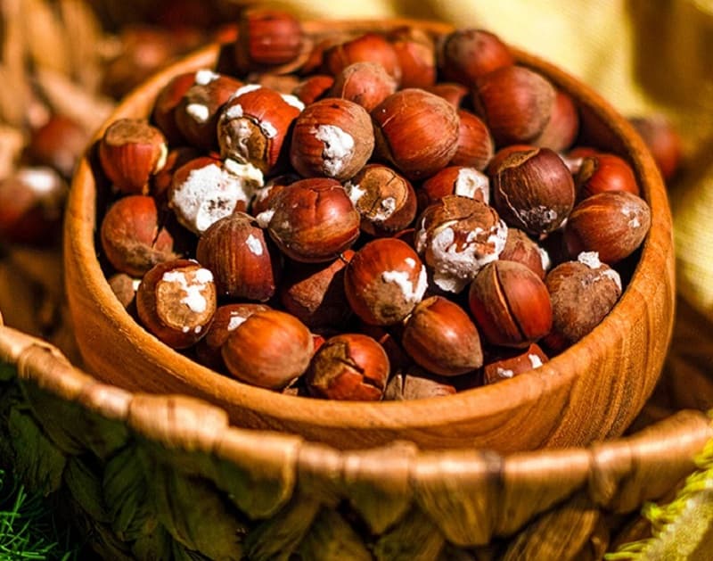 فندوق لعابی شور