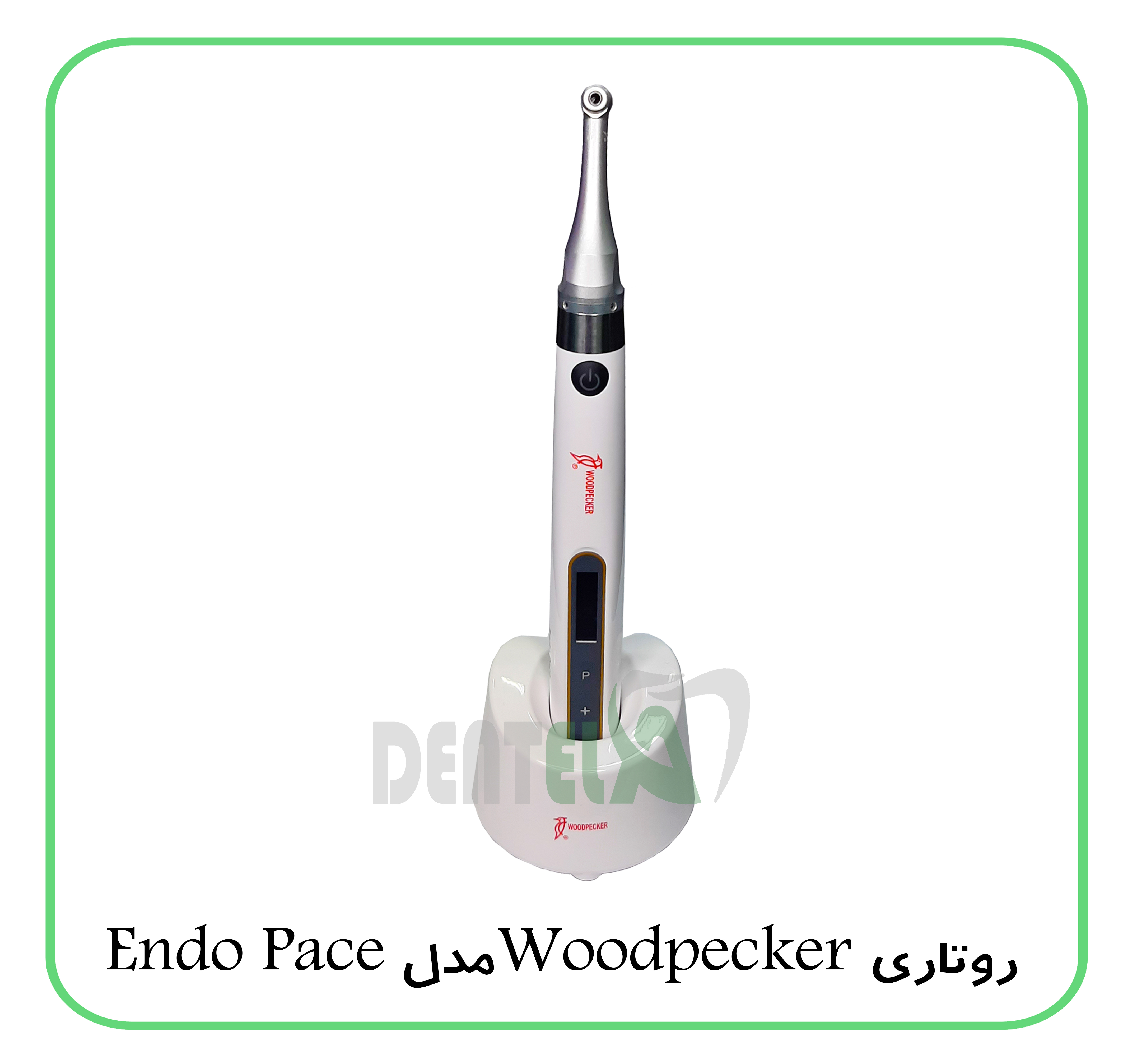روتاری Woodpecker مدل اندوپیس Endo Pace