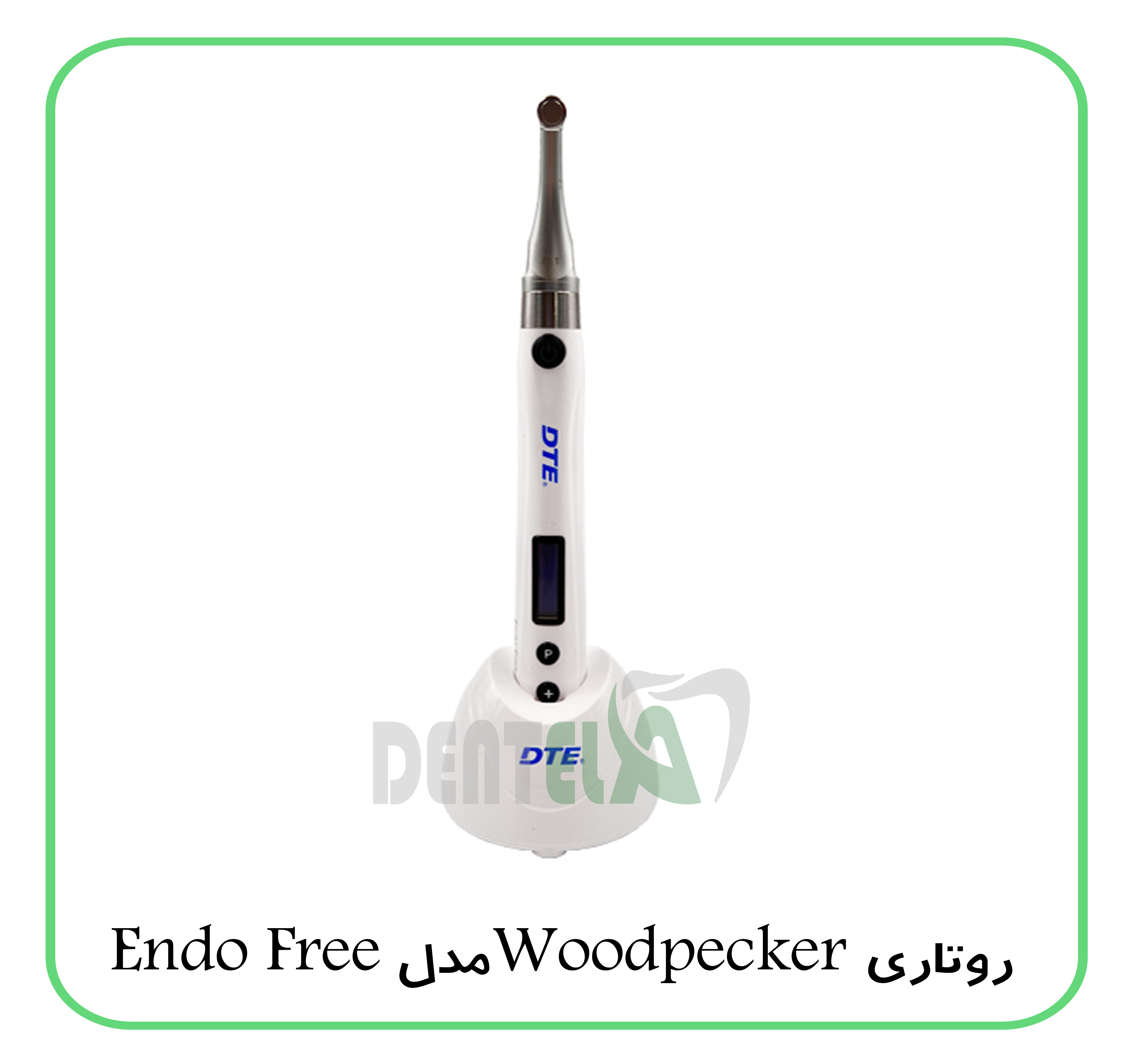 روتاری Woodpecker مدل Endo Free