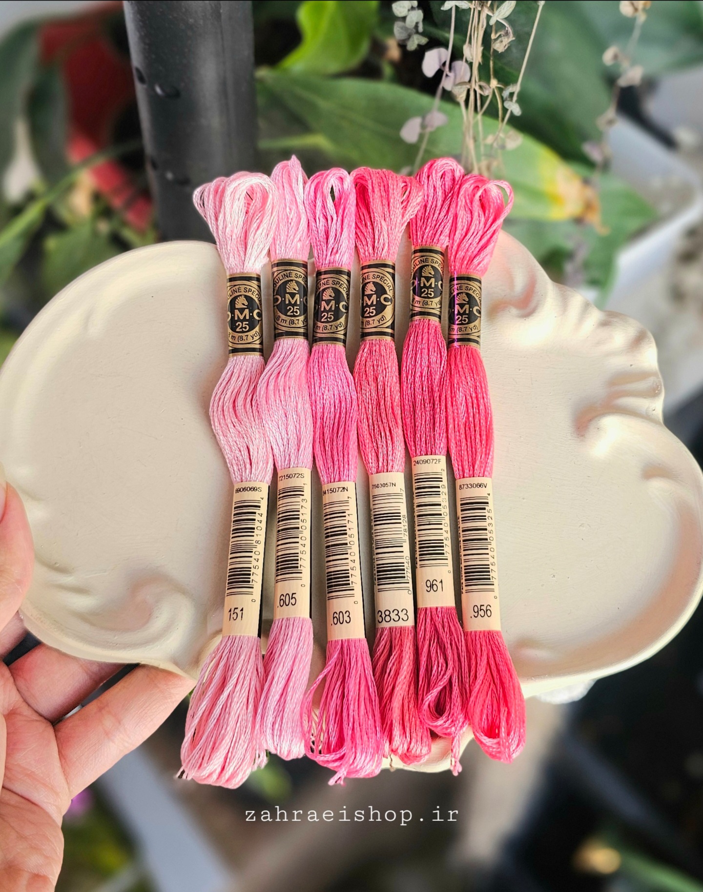 پک ۶ عددی نخ صورتی دمسه اصل فرانسه